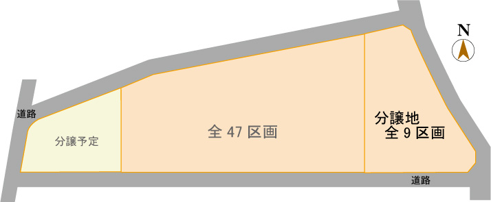 �����n���