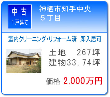 �m�蒆���T����